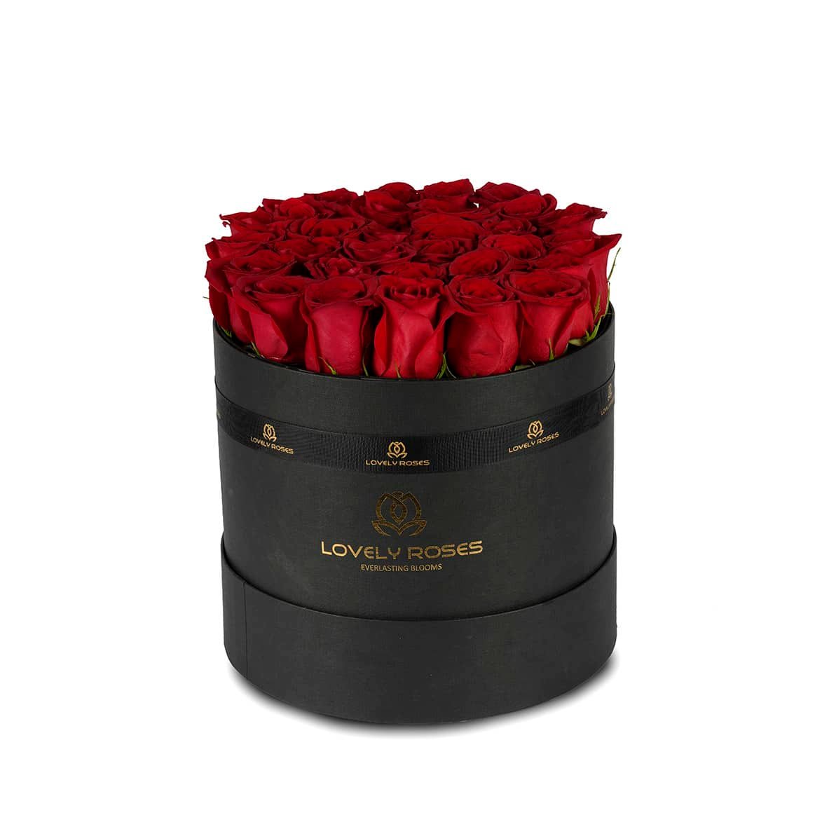 _DSC1329 copy 2 Round-Box