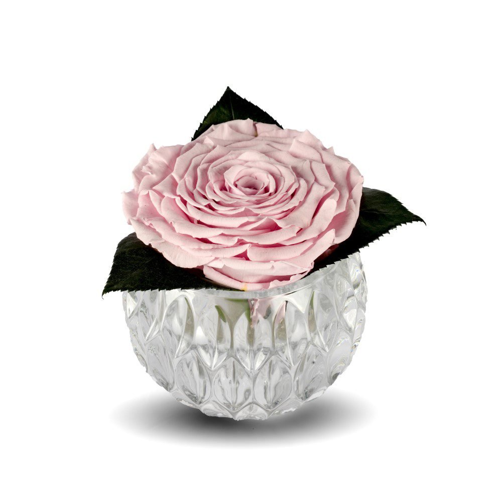 FISHBOWL MEDIUM FISHBOWL-MEDIUM